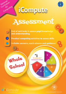 computing assessment tests and tasks